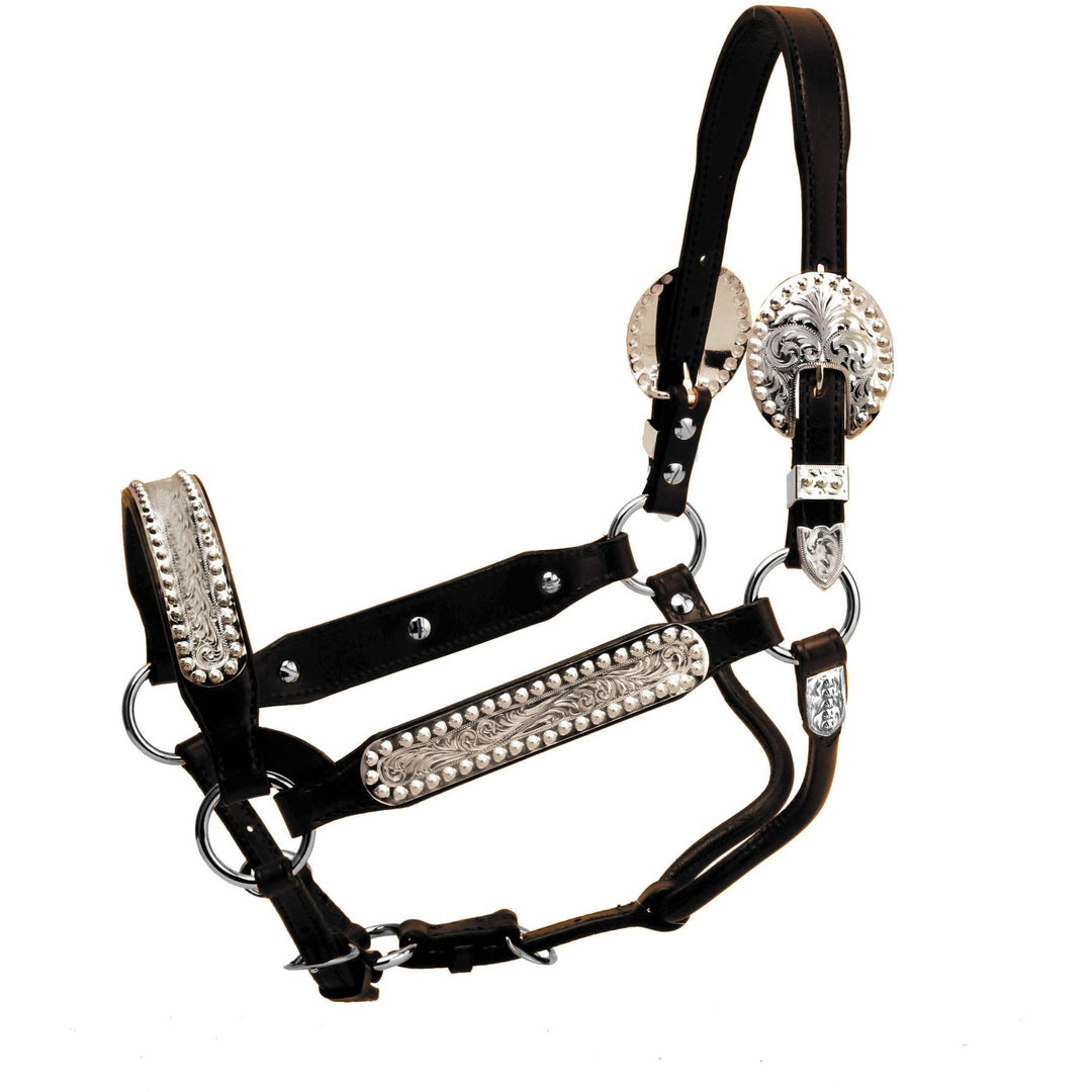 Tory Leather Buffalo Congress Show Halter