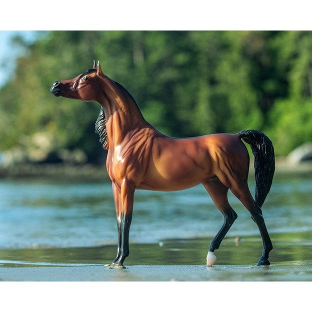 Breyer Horse RD Marciea Bey Champion Arabian Mare