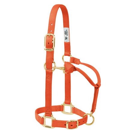 Weaver Leather Original Adjustable Chin and Throat Snap Halter, 1" Small Horse or Weanling Draft