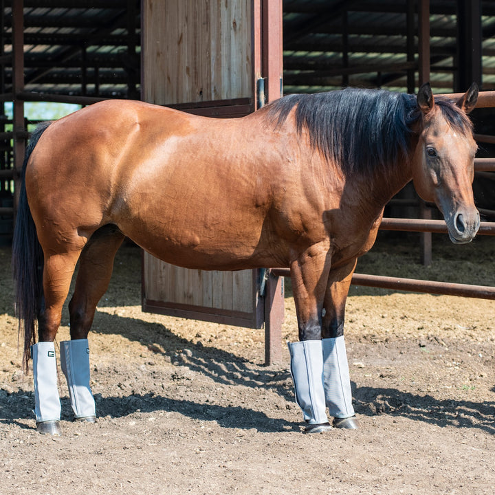 Cashel Crusader Leg Guards