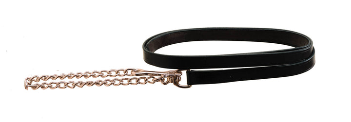 Tory Leather Lead with Nickel Chain