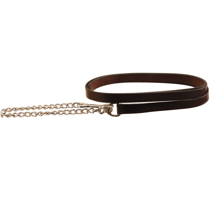 Tory Leather Lead with Nickel Chain