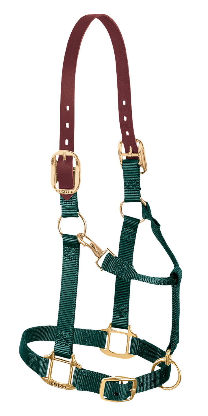 Weaver Leather Breakaway Original Adjustable Chin and Throat Snap Halter, 1" Yearling Horse