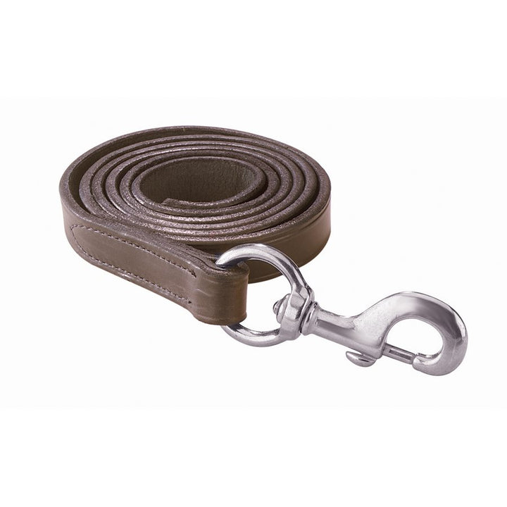 Perri's Leather Lead with Silver Snap