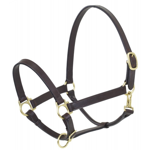 Camelot Stable Halter - West 20 Saddle Co.