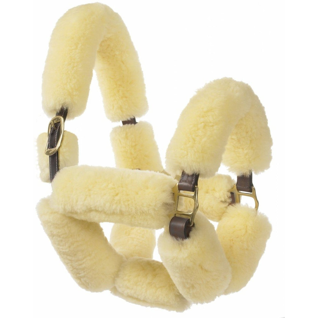 Ovation Sheepskin Covered Halter - West 20 Saddle Co.