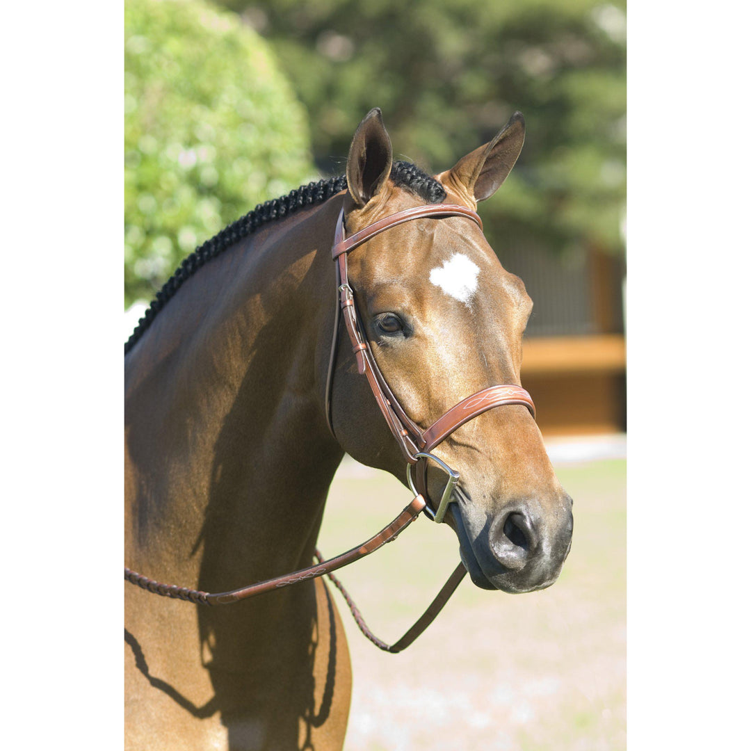 Rodrigo Pessoa Fancy Wide Show Bridle With Raised Laced Reins - West 20 Saddle Co.