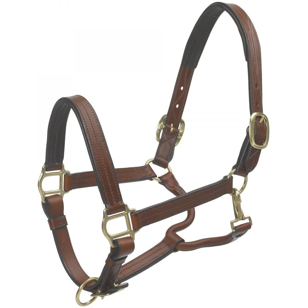 Ovation Triple Stitched Padded Halter - West 20 Saddle Co.