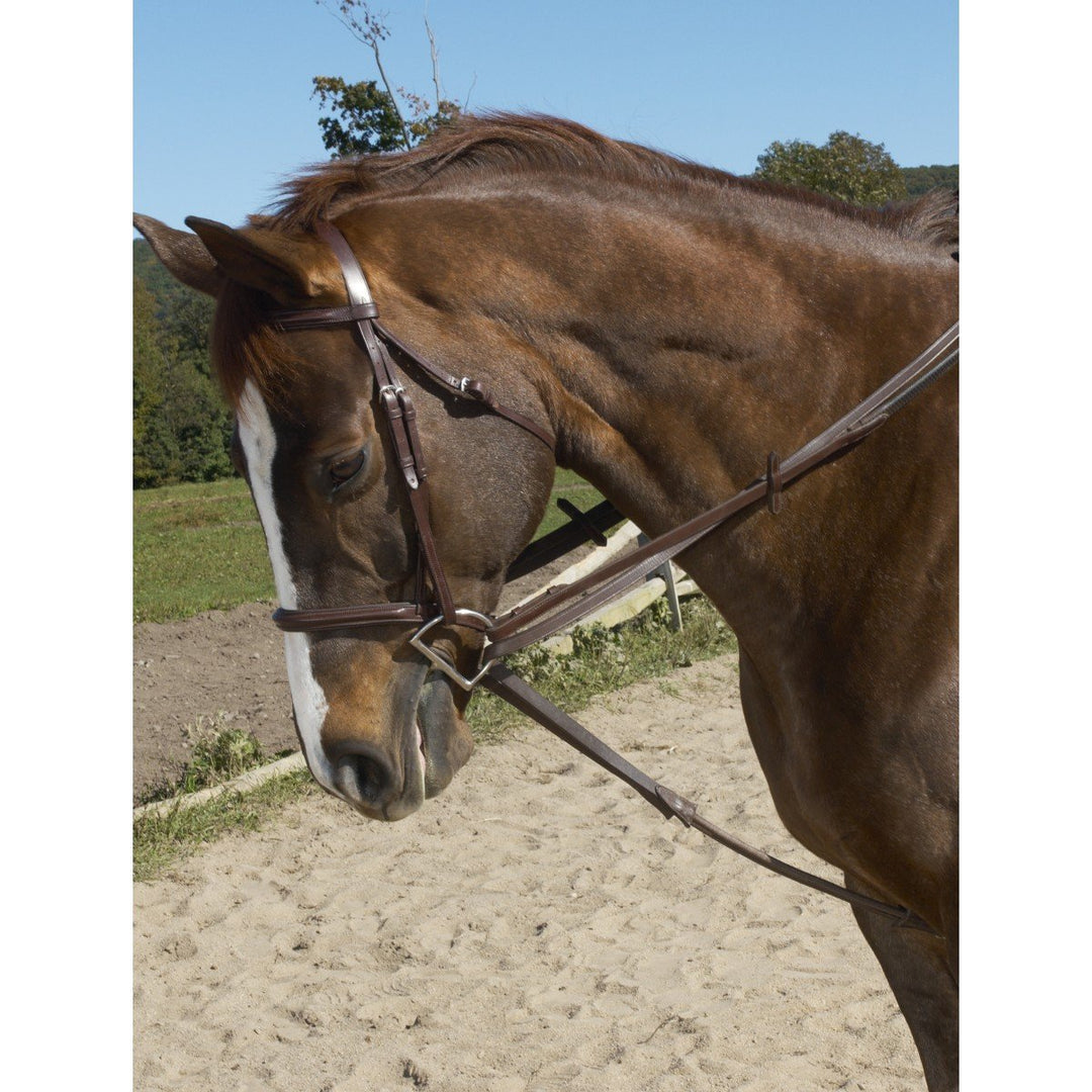 Ovation Stretch Cord Draw Reins - West 20 Saddle Co.