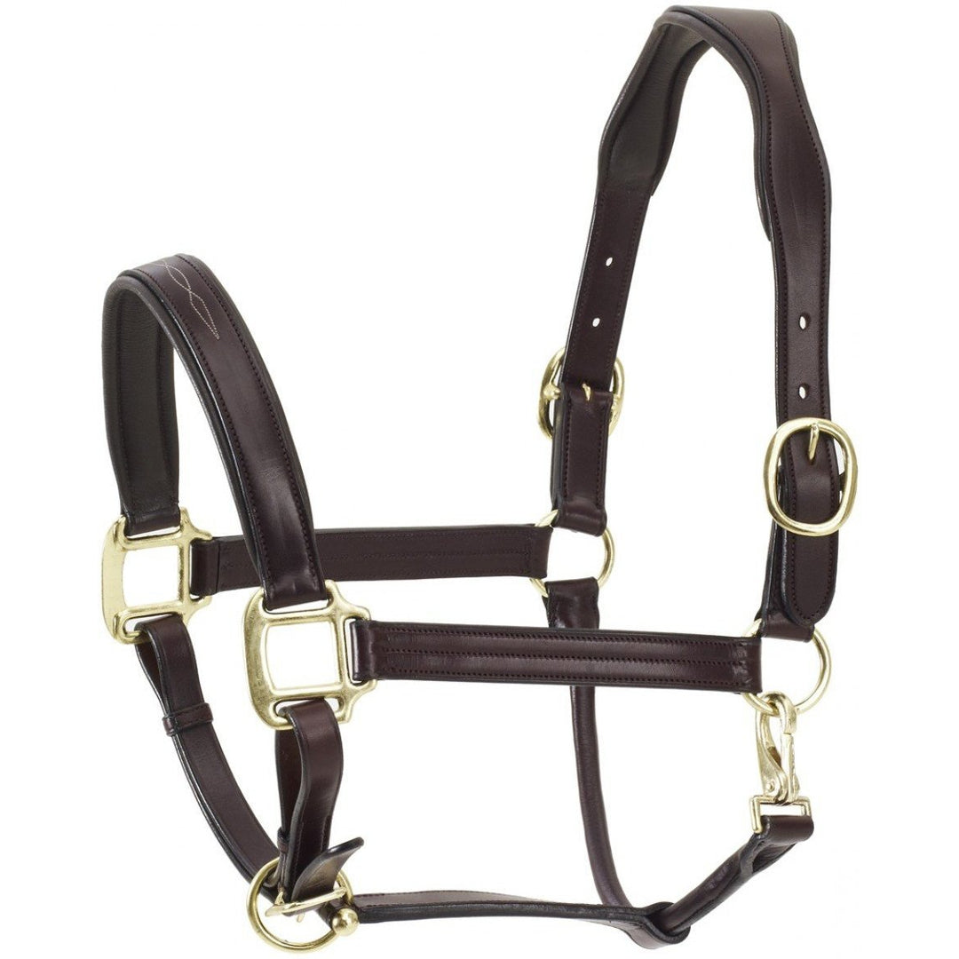 Ovation ATS Fancy Stitch Padded Halter - West 20 Saddle Co.