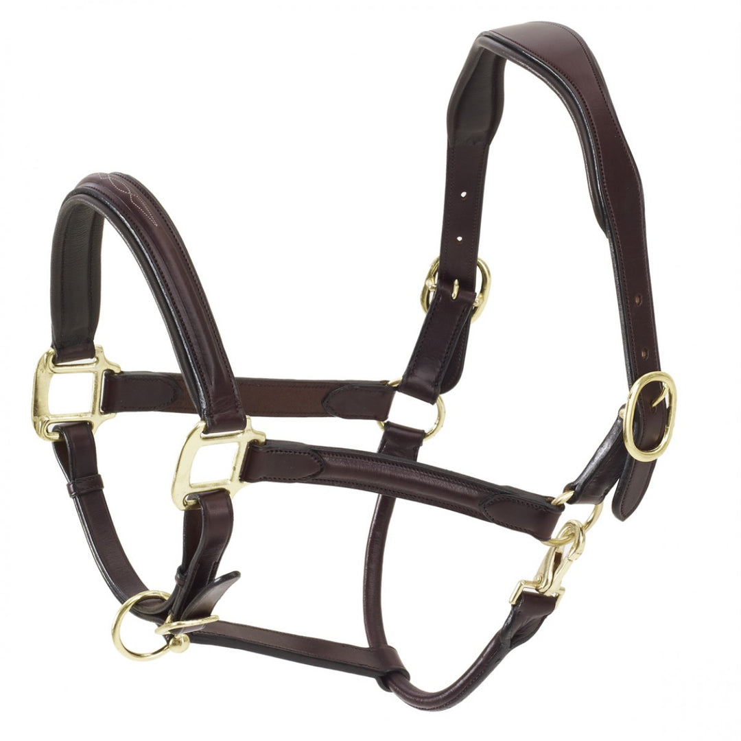 Ovation ATS Fancy Stitch Raised Padded Halter - West 20 Saddle Co.