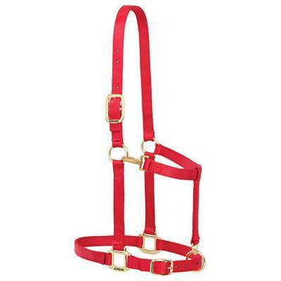 Weaver Leather Nylon Adjustable Large Draft Horse Halter, 1" - West 20 Saddle Co.