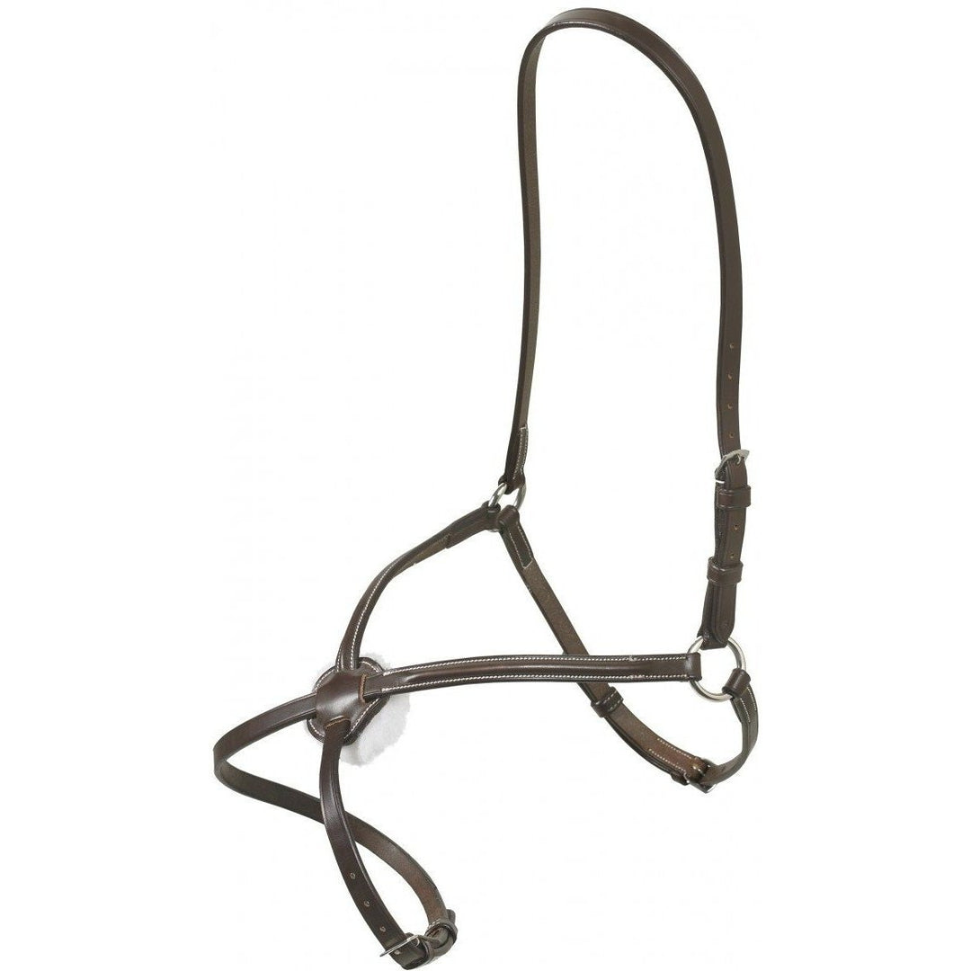 Ovation Elite Collection Raised Figure 8 Noseband - West 20 Saddle Co.