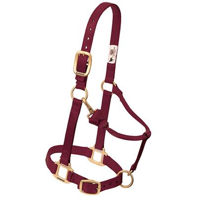 Weaver Leather Original Adjustable Chin and Throat Snap Halter, 1" Small Horse or Weanling Draft - West 20 Saddle Co.