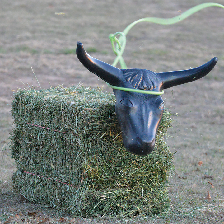 Classic Equine Steer Head - West 20 Saddle Co.