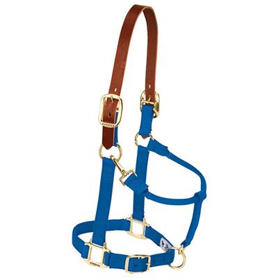 Weaver Leather Breakaway Original Adjustable Chin and Throat Snap Halter, 1" Yearling Horse - West 20 Saddle Co.