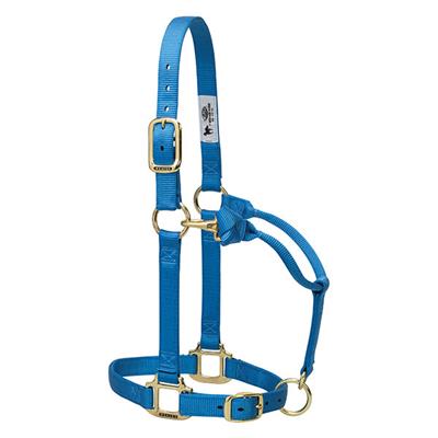 Weaver Leather Original Adjustable Chin and Throat Snap Halter, 1" Small Horse or Weanling Draft - West 20 Saddle Co.