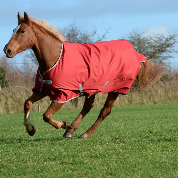 Bucas Freedom Turnout Light