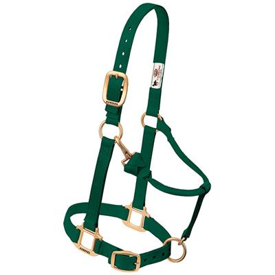 Weaver Leather Original Adjustable Chin and Throat Snap Halter, 1" Small Horse or Weanling Draft - West 20 Saddle Co.