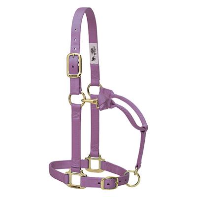 Weaver Leather Original Adjustable Chin and Throat Snap Halter, 1" Small Horse or Weanling Draft - West 20 Saddle Co.