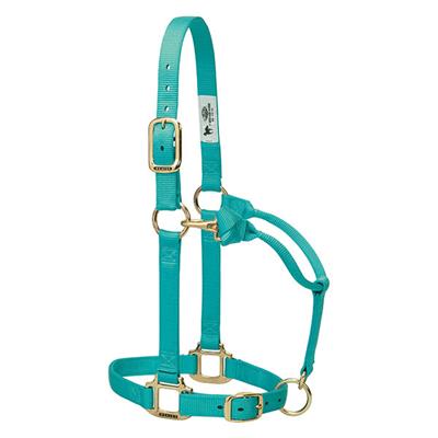 Weaver Leather Original Adjustable Chin and Throat Snap Halter, 1" Small Horse or Weanling Draft - West 20 Saddle Co.