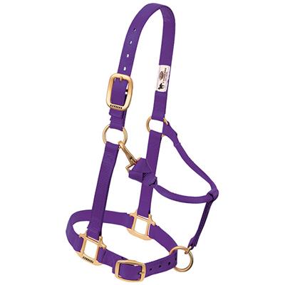 Weaver Leather Original Adjustable Chin and Throat Snap Halter, 1" Small Horse or Weanling Draft - West 20 Saddle Co.