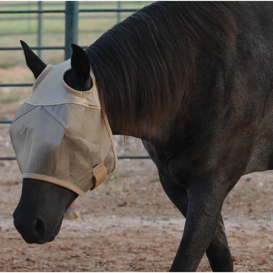 Cashel Econo Standard Fly Mask - West 20 Saddle Co.