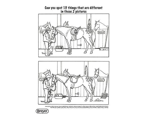 Breyer "H" is for Horse Coloring Book