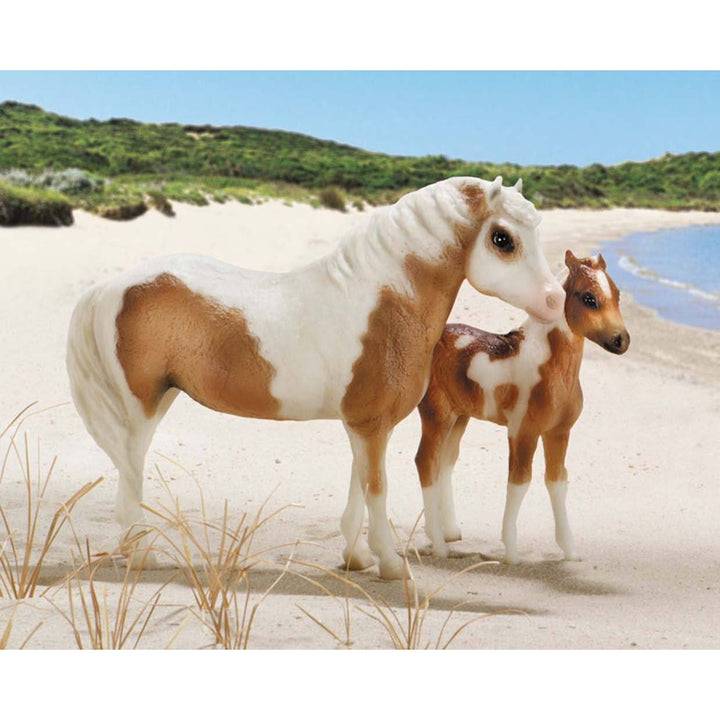 Breyer Misty & Stormy-Models and Book Set