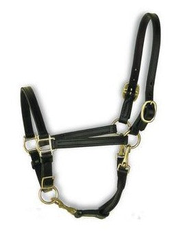 Perri's Leather 3/4" Convertible Grooming Halter