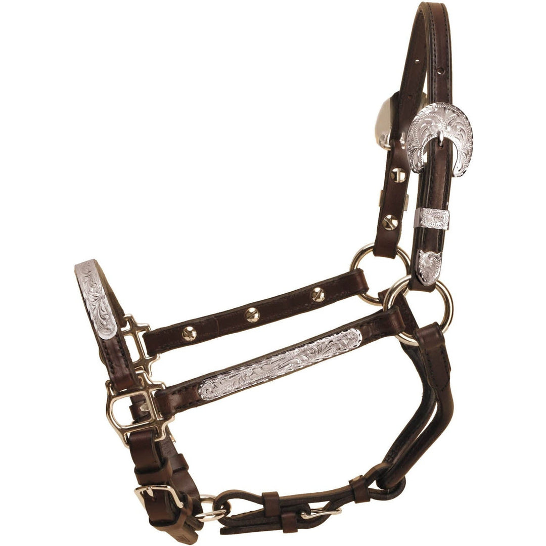 Tory Leather 3/4" Wide Oklahoma Silver Halter