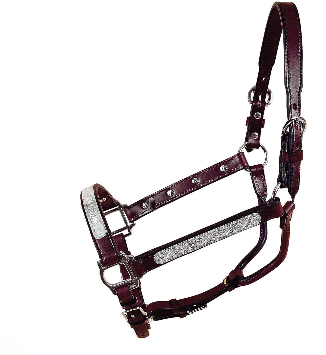 Tory Leather Dark Oil Oklahoma Economy Silver Show Halter