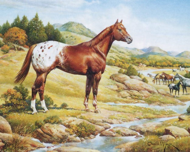Breyer Ideal Series Appaloosa Horse