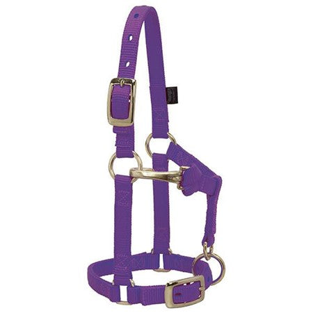 Weaver Leather Miniature Horse Adjustable Chin and Throat Snap Halter, 5/8" Average