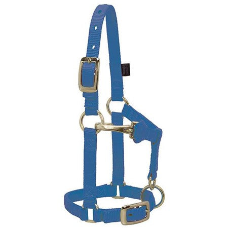 Weaver Leather Miniature Horse Adjustable Chin and Throat Snap Halter, 5/8" Large