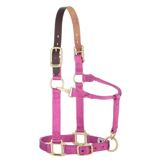 Weaver Leather Breakaway Original adjustable horse halter with chin and throat snap, suitable for yearling horses.
