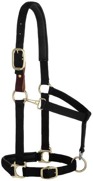 Weaver Padded Breakaway Adjustable Chin and Throat Snap Halter