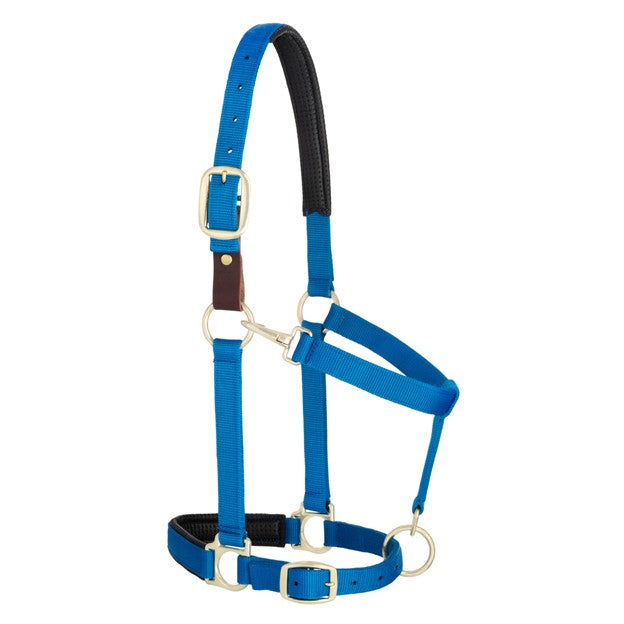 Weaver Padded Breakaway Adjustable Chin and Throat Snap Halter