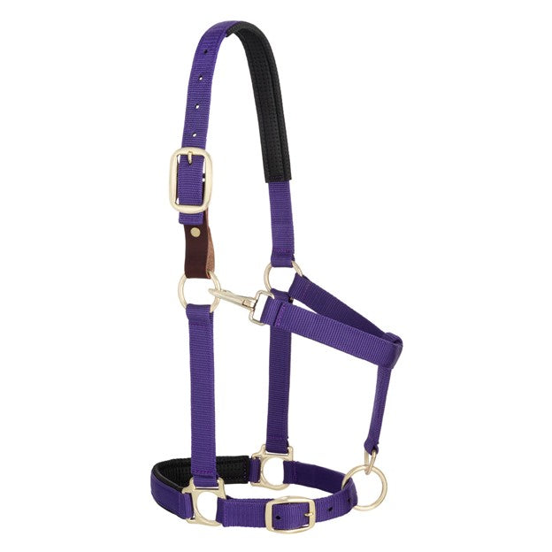 Weaver Padded Breakaway Adjustable Chin and Throat Snap Halter