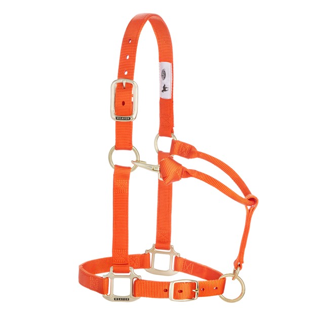 Weaver Leather 1-inch adjustable nylon halter for yearlings, featuring multiple color options and a durable design.