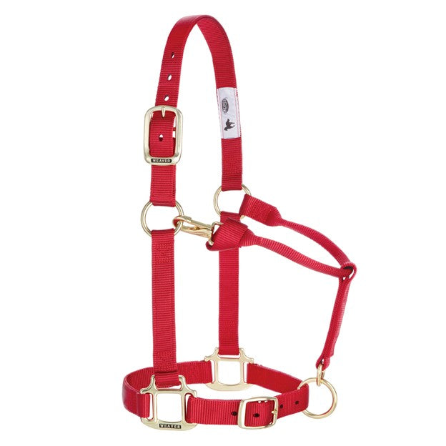Red Weaver Leather 1-inch nylon halter for yearlings, adjustable fit with multiple color options, suitable for young horses.