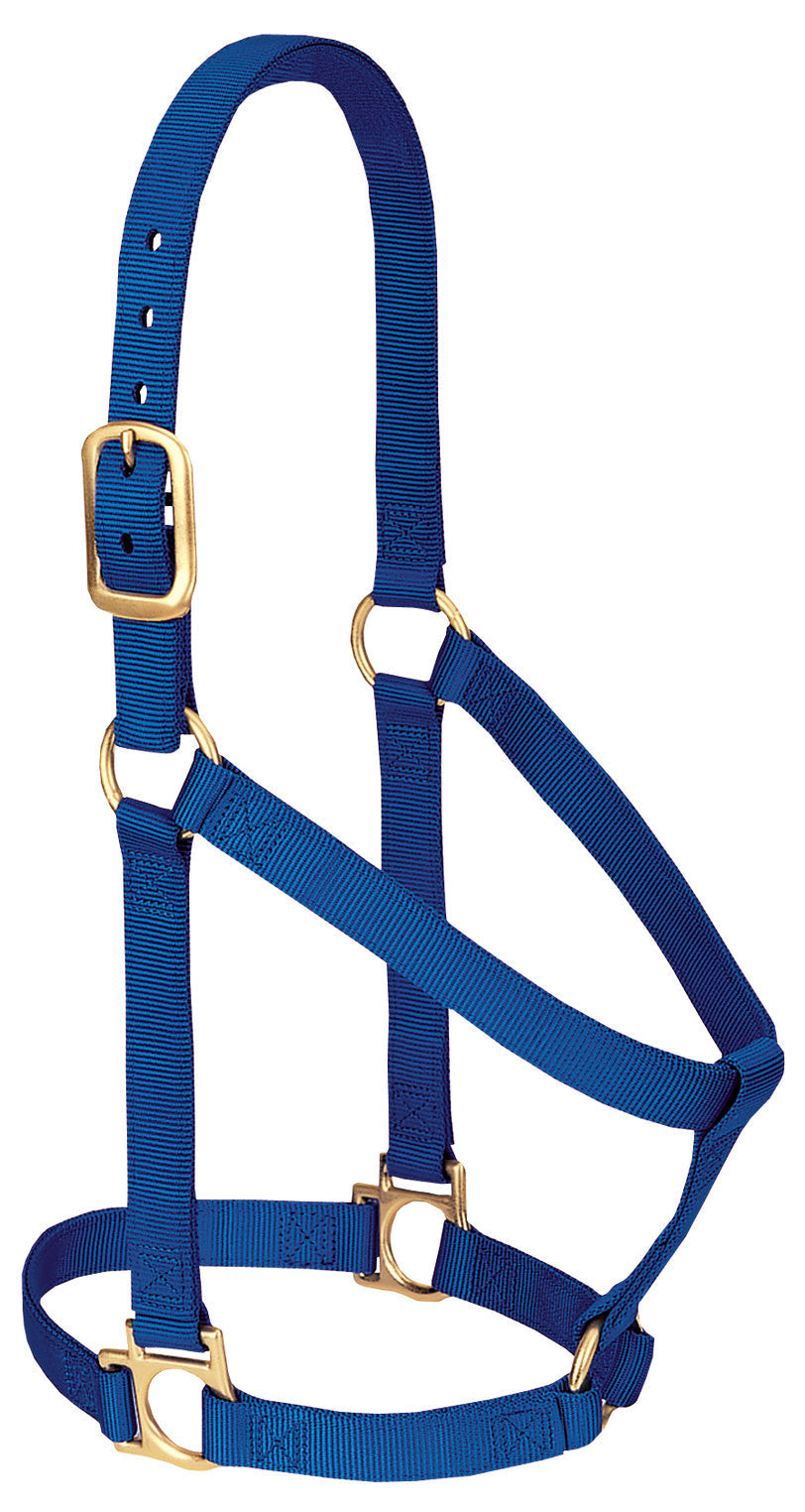 Weaver Basic Non-Adjustable Nylon Halter, 1" Small Horse (Multiple Color Options) - West 20 Saddle Co.
