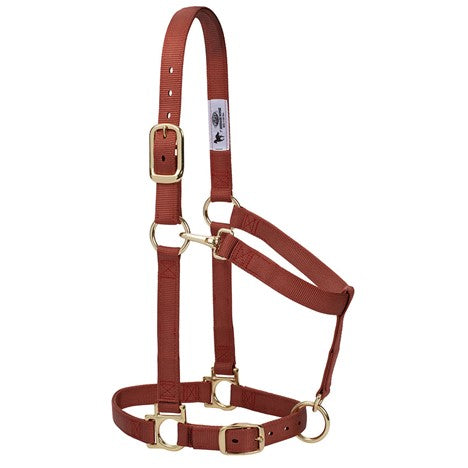 Weaver Basic Adjustable Nylon Halter, 1" Small Horse (Multiple Color Options) - West 20 Saddle Co.