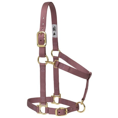 Weaver Leather adjustable nylon horse halter in multiple colors, featuring 1-inch straps and a secure buckle for average-sized horses.