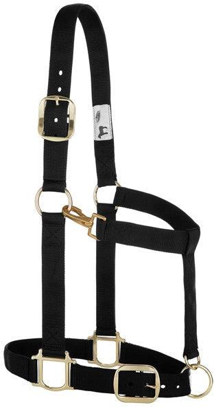 Weaver Leather Original Adjustable Large 1 1/2 inch Draft Halter