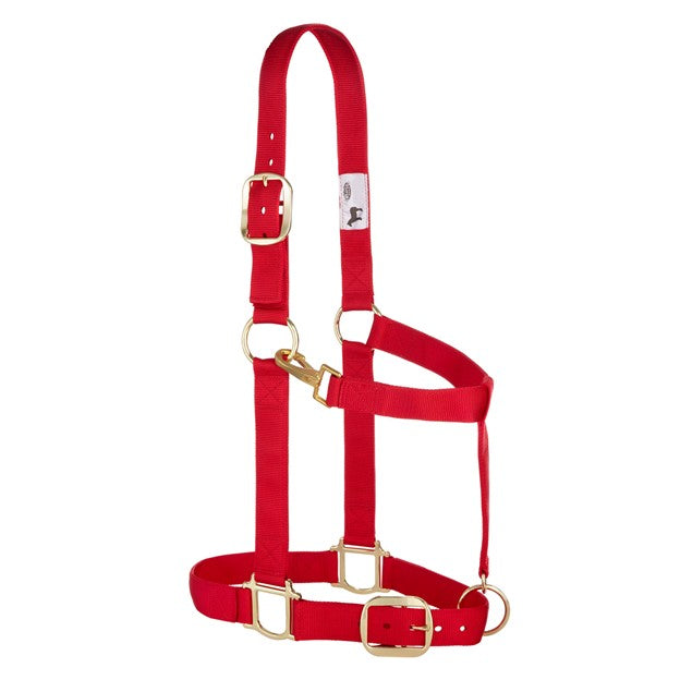 Weaver Leather Original Adjustable Large 1 1/2 inch Draft Halter