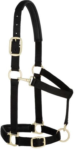 Weaver Leather Average Padded Adjustable Snap Halter (Multiple Color Options)