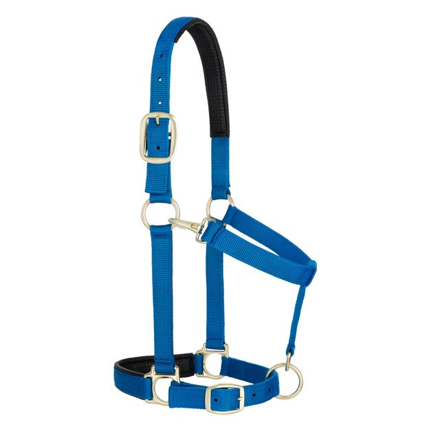 Weaver Leather Average Padded Adjustable Snap Halter (Multiple Color Options)
