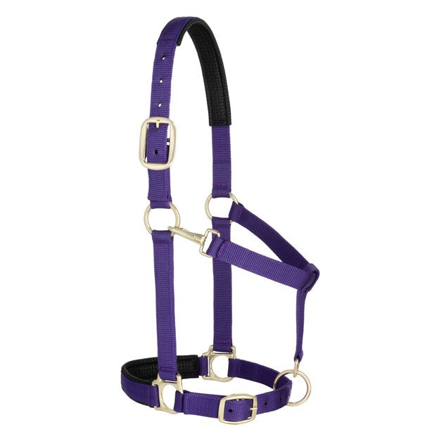 Weaver Leather Average Padded Adjustable Snap Halter (Multiple Color Options)