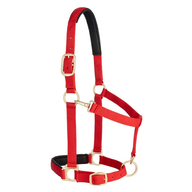 Weaver Leather Average Padded Adjustable Snap Halter (Multiple Color Options)